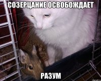 созерцание освобождает разум