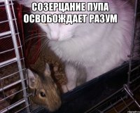 созерцание пупа освобождает разум 