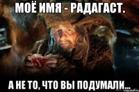 моё имя - радагаст. а не то, что вы подумали...