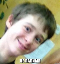  не палимя