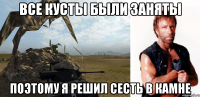 все кусты были заняты поэтому я решил сесть в камне