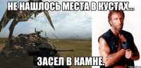 не нашлось места в кустах... засел в камне.