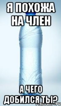 я похожа на член а чего добился ты?