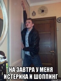  на завтра у меня истерика и шоппинг
