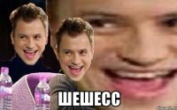  шешесс