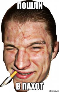 пошли в пахот