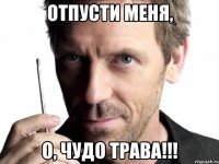 отпусти меня, о, чудо трава!!!