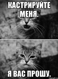 кастрируйте меня. я вас прошу.