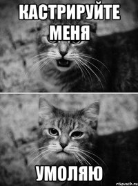 кастрируйте меня умоляю