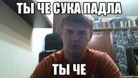 ты че сука падла ты че