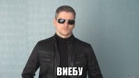  виебу