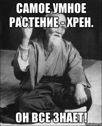 самое умное растение - хрен. он все знает!