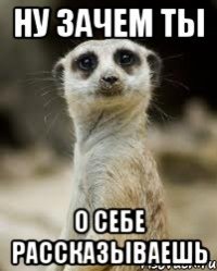 ну зачем ты о себе рассказываешь
