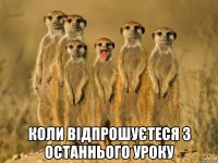  коли відпрошуєтеся з останнього уроку