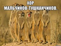 хор мальчиков-тушканчиков. 