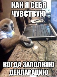 как я себя чувствую когда заполняю декларацию