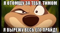 я отомщу за тебя, тимом я вырежу весь его прайд!