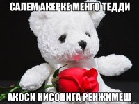 салем акерке менго тедди акоси нисонига ренжимеш