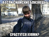 а если сиамские близнецы срастутся хуями?