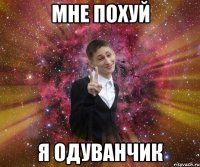 мне похуй я одуванчик