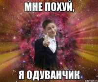 мне похуй, я одуванчик