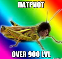 патриот over 900 lvl