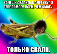хочешь свалить в америку? я тебе помогу. всем, чем смогу. только свали.