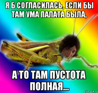 я б согласилась, если бы там ума палата была, а то там пустота полная...
