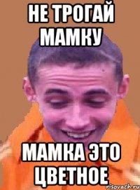 не трогай мамку мамка это цветное