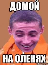 домой на оленях