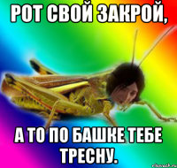 рот свой закрой, а то по башке тебе тресну.