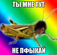 ты мне тут не пфыкай