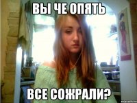 вы че опять все сожрали?