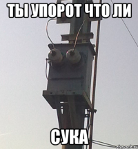 ты упорот что ли сука