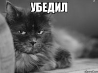 убедил 
