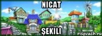 nicat şekili