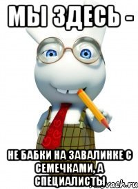 мы здесь - не бабки на завалинке с семечками, а специалисты