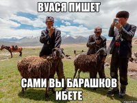 вуася пишет сами вы барашков ибете