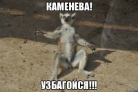 каменева! узбагойся!!!