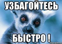 узбагойтесь быстро !