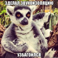 зделал звукоизоляцию узбагоился