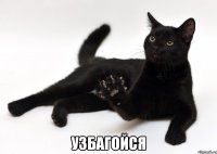  узбагойся
