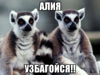 алия узбагойся!!