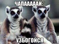 чапааааай:* узбогойся