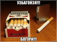 узбагойзя!!! богури!!!