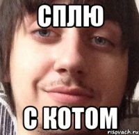 сплю с котом