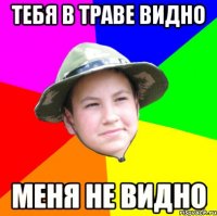 тебя в траве видно меня не видно