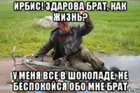 ирбис! здарова брат, как жизнь? у меня все в шоколаде, не беспокойся обо мне брат