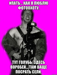 ипать... как я люблю фотоохоту. тут голубь, здесь воробей... там ваще посрать сели.