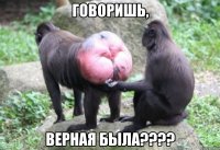 говоришь, верная была???